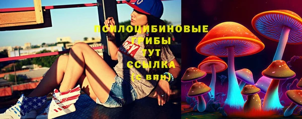 тгк Алексеевка