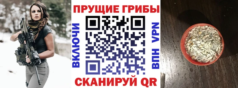 Галлюциногенные грибы мухоморы Истра