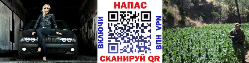 блэк спрут tor цены Истра Бошки марихуана марихуана